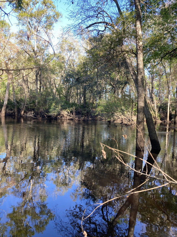 Staten Road other, Withlacoochee River @ Staten Road 2025-03-19