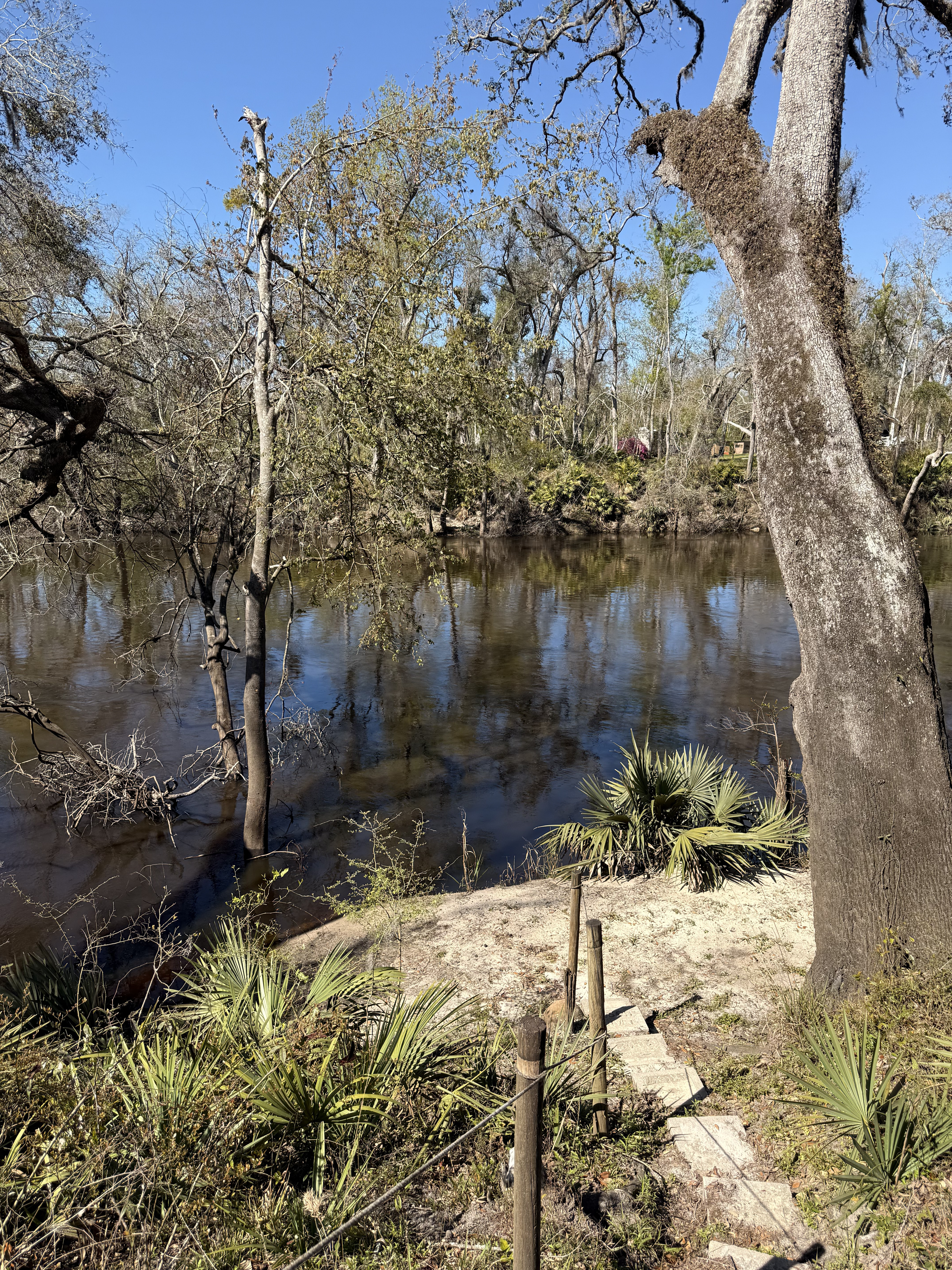 Holly Point, Withlacoochee River @ NE Withla Bluffs Way 2025-03-19, 2025:03:19 11:34:08, 30.4138028, -83.2066028