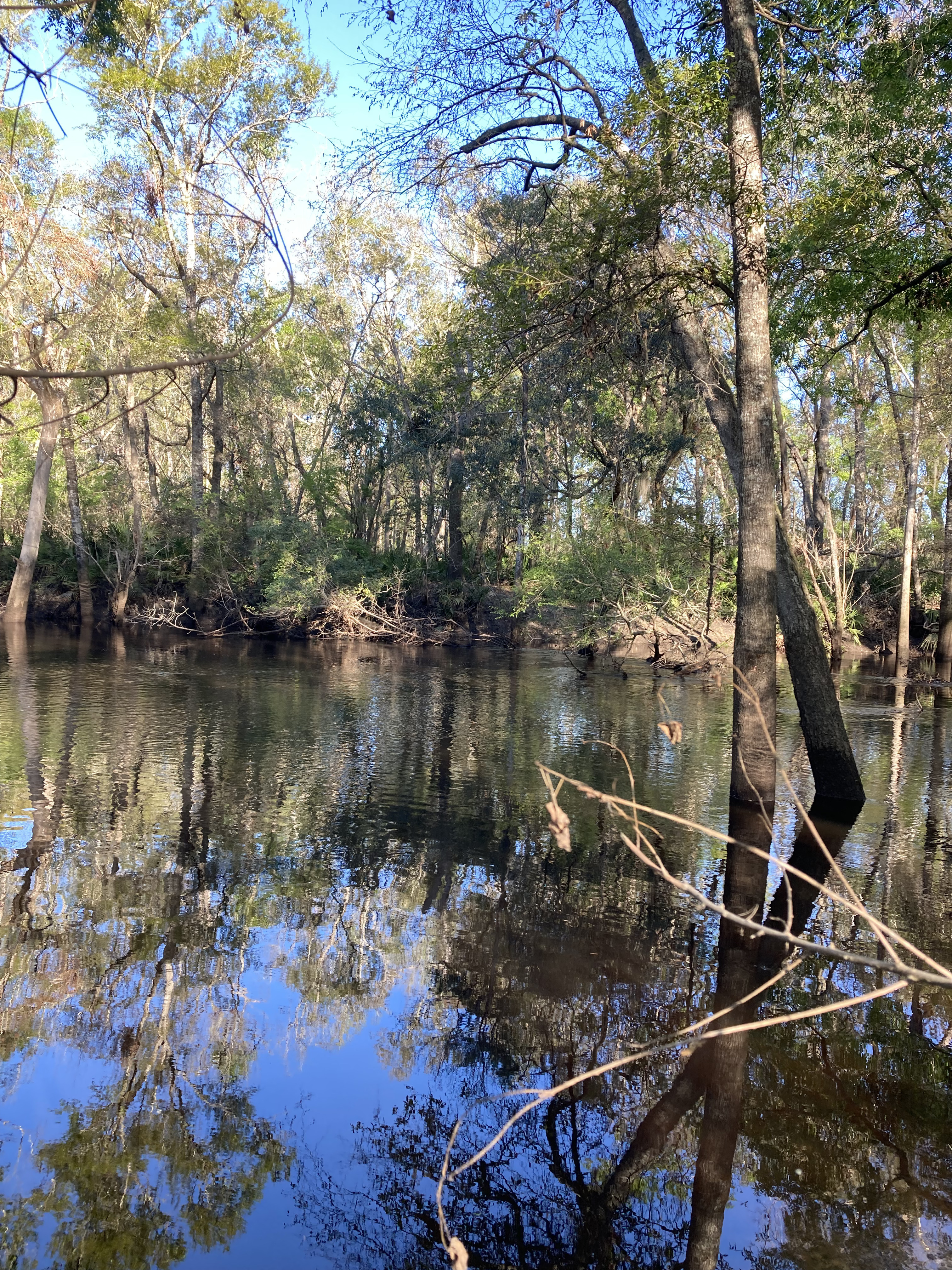 Staten Road other, Withlacoochee River @ Staten Road 2025-03-19