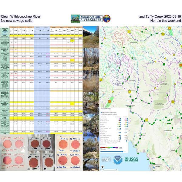 Clean Withlacoochee River and Ty Ty Creek 2025-03-19, No new sewage spills, No rain this weekend