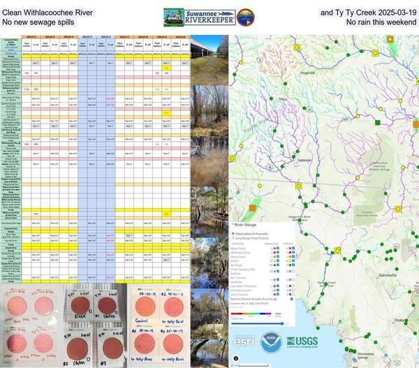 Clean Withlacoochee River and Ty Ty Creek 2025-03-19, No new sewage spills, No rain this weekend