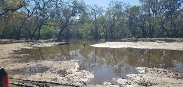 [River at top of Knights Ferry Boat Ramp, 2025:03:20 16:27:03, 30.7125606, -83.4549771]