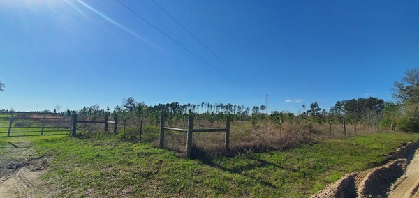 Sabal Trail Pipeline Right of Way, 2025:03:20 17:06:25, 30.7873967, -83.4458252