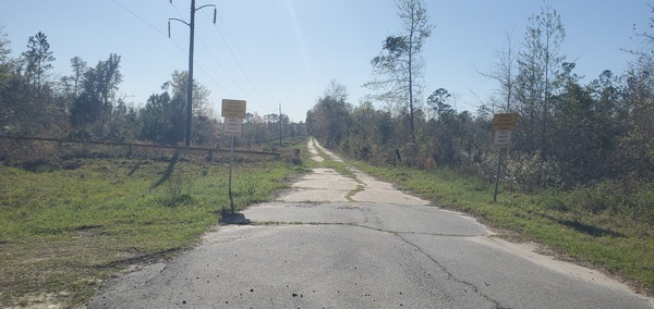 Park at the paved road for Spook Bridge, 2025:03:20 17:07:30, 30.7910135, -83.4439256