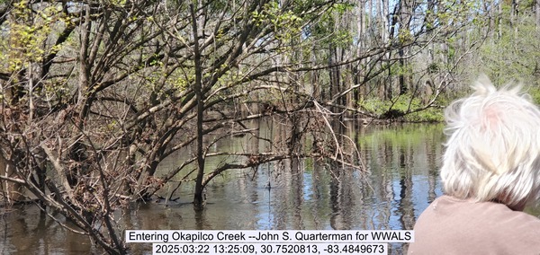 [Entering Okapilco Creek --John S. Quarterman for WWALS, 2025:03:22 13:25:09, 30.7520813, -83.4849673]