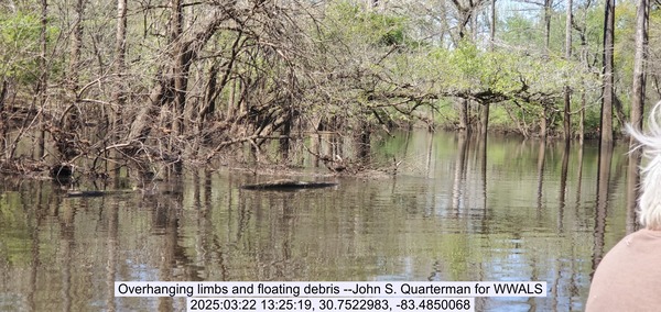 Overhanging limbs and floating debris --John S. Quarterman for WWALS, 2025:03:22 13:25:19, 30.7522983, -83.4850068