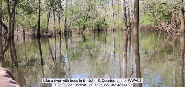 [Like a river with trees in it --John S. Quarterman for WWALS, 2025:03:22 13:25:49, 30.7525055, -83.4854450]