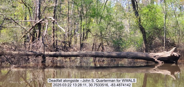 [Deadfall alongside --John S. Quarterman for WWALS, 2025:03:22 13:28:11, 30.7533516, -83.4874142]