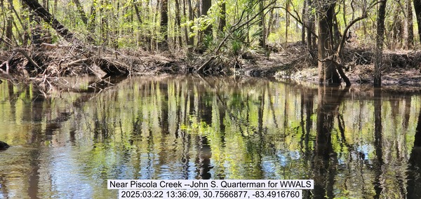 [Near Piscola Creek --John S. Quarterman for WWALS, 2025:03:22 13:36:09, 30.7566877, -83.4916760]