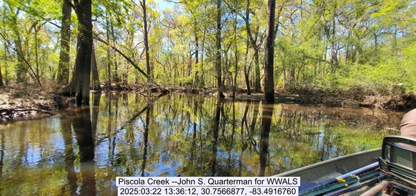 [Piscola Creek --John S. Quarterman for WWALS, 2025:03:22 13:36:12, 30.7566877, -83.4916760]