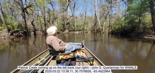 [Patrick Creek coming up on the left bank (our right) --John S. Quarterman for WWALS, 2025:03:22 13:38:11, 30.7578826, -83.4922964]