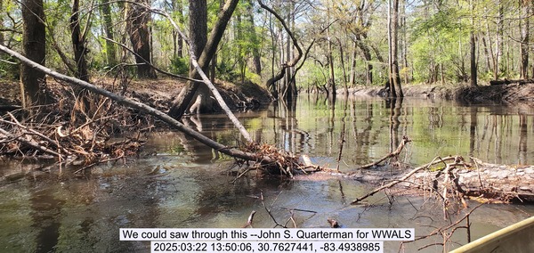 [We could saw through this --John S. Quarterman for WWALS, 2025:03:22 13:50:06, 30.7627441, -83.4938985]
