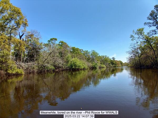 [Meanwhile, bored on the river --Phil Royce for WWALS, 2025:03:22 14:07:39]
