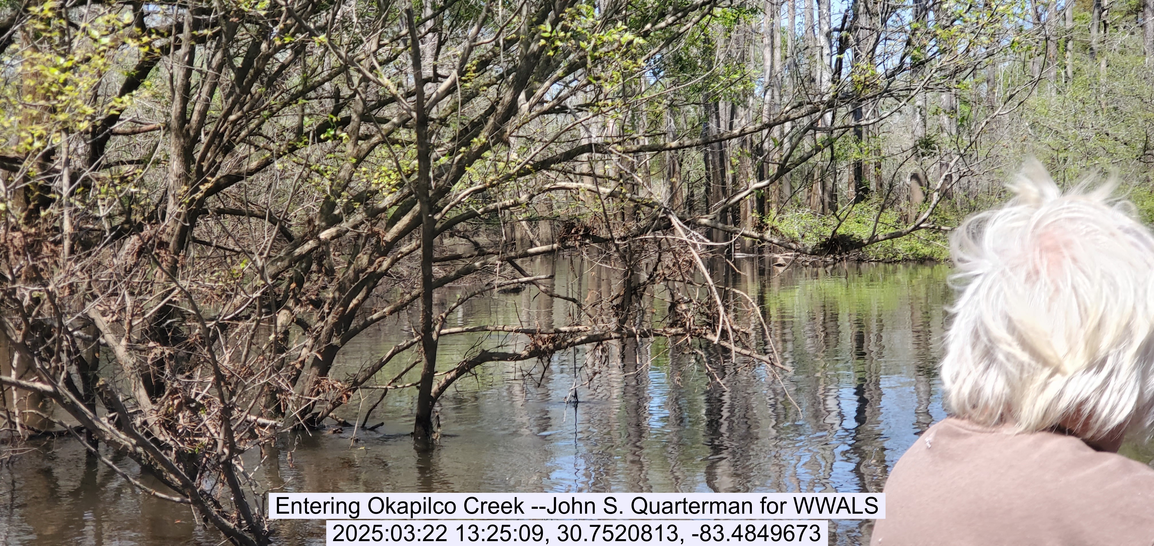 Entering Okapilco Creek --John S. Quarterman for WWALS, 2025:03:22 13:25:09, 30.7520813, -83.4849673