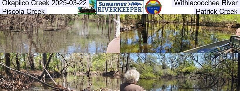 Okapilco Creek 2025-03-22, Withlacoochee River, Piscola Creek, Patrick Creek