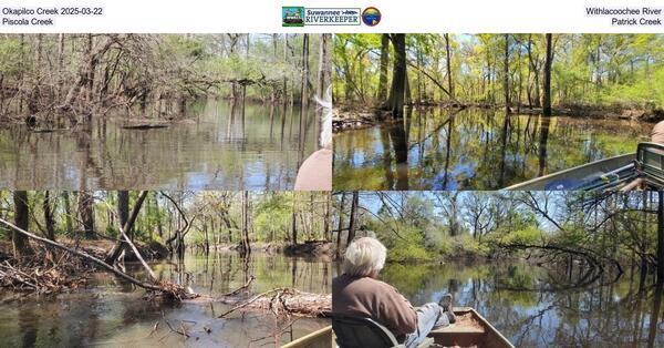 [Okapilco Creek 2025-03-22, Withlacoochee River, Piscola Creek, Patrick Creek]