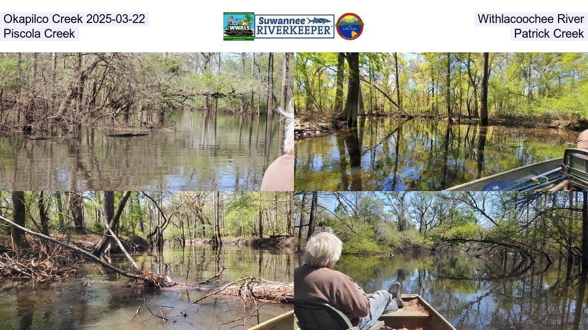 Okapilco Creek 2025-03-22, Withlacoochee River, Piscola Creek, Patrick Creek