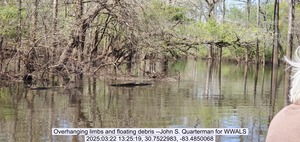[Overhanging limbs and floating debris --John S. Quarterman for WWALS, 2025:03:22 13:25:19, 30.7522983, -83.4850068]