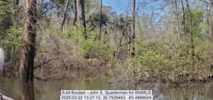 [A bit flooded --John S. Quarterman for WWALS, 2025:03:22 13:27:12, 30.7529463, -83.4866624]