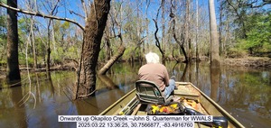[Onwards up Okapilco Creek --John S. Quarterman for WWALS, 2025:03:22 13:36:25, 30.7566877, -83.4916760]