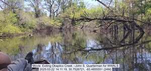 [Movie: Exiting Okapilco Creek --John S. Quarterman for WWALS, 2025:03:22 14:11:19, 30.7526721, -83.4855551 (24M)]