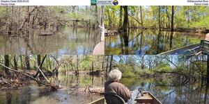 [Okapilco Creek 2025-03-22, Withlacoochee River, Piscola Creek, Patrick Creek]