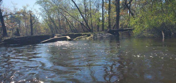 [Sign missing at WWTP Outfall, 2025:03:22 10:58:12, 30.8363739, -83.3591081]