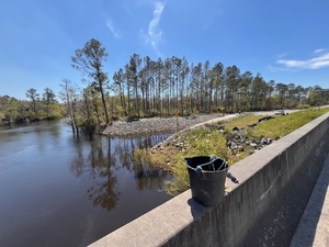 [Back, Lakeland Boat Ramp, Alapaha River @ GA 122 2025-03-26]