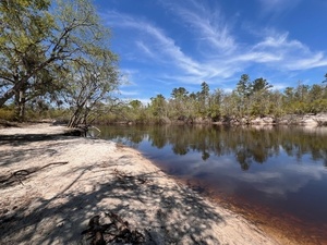 [Downstream, Naylor Park Beach, Alapaha River @ US 84 2025-03-26]