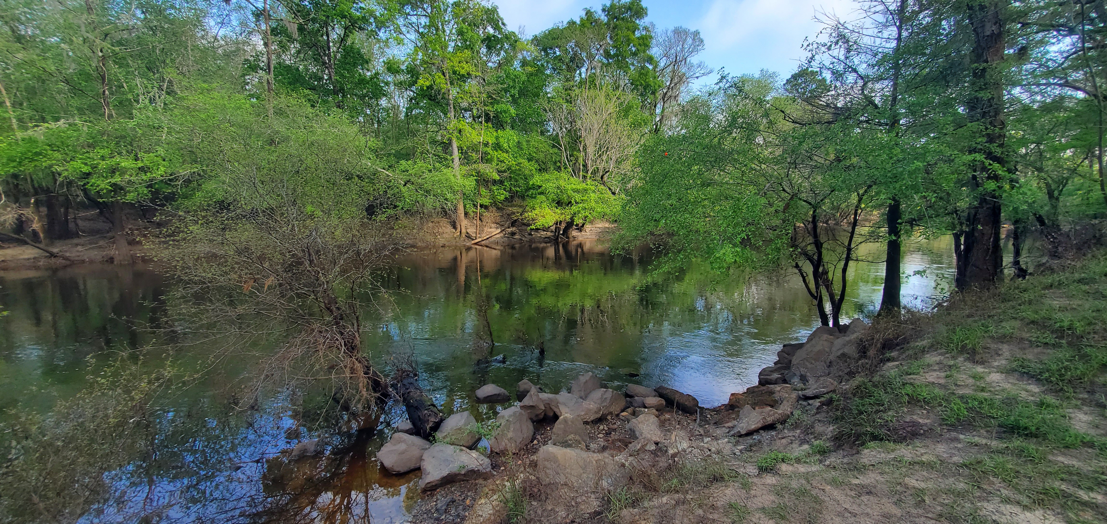 Sample Site, Little River, Troupville Boat Ramp, 10:08:22, 30.8514818, -83.3476666
