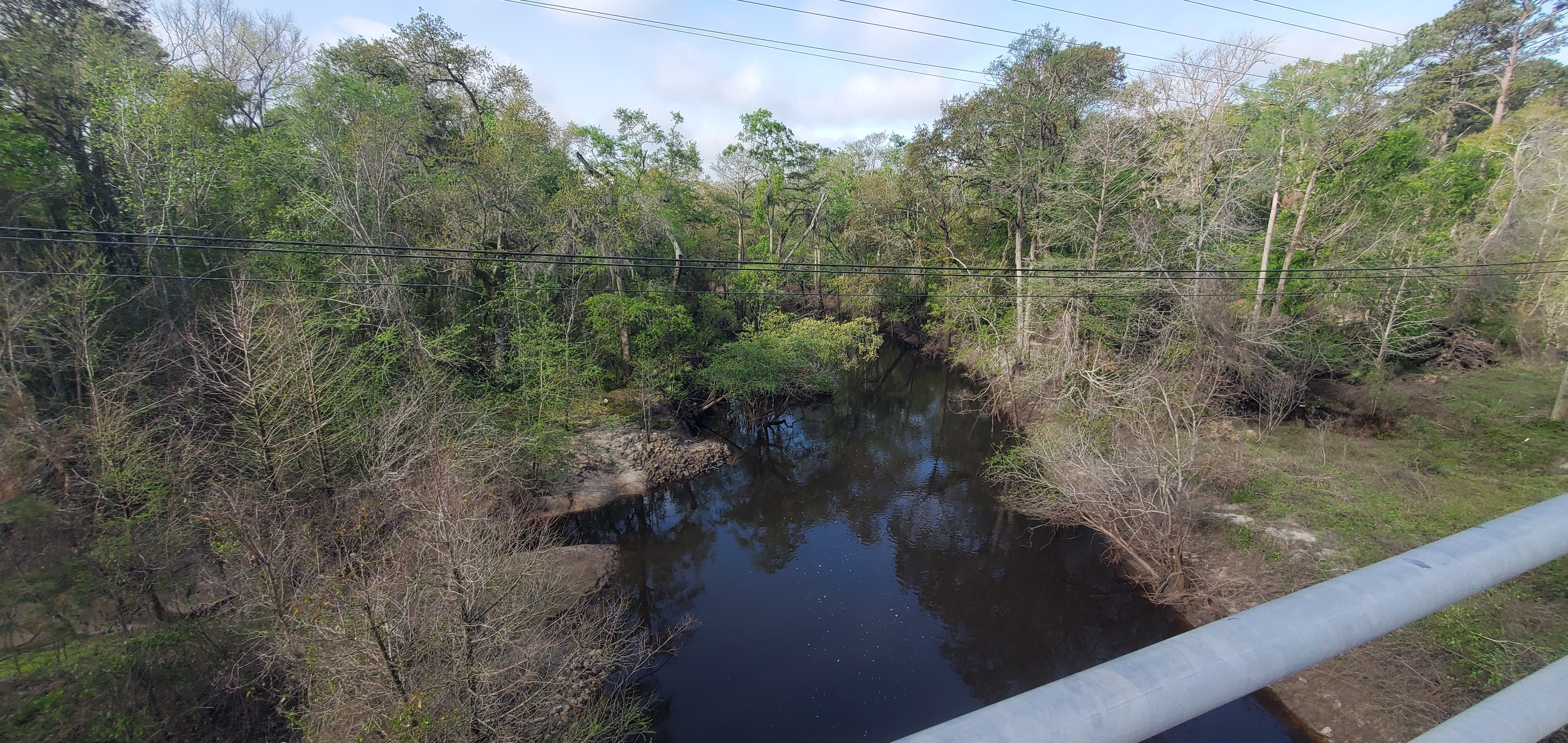 Downstream, GA 133, Withlacoochee River, 10:26:01, 30.8498638, -83.3397469