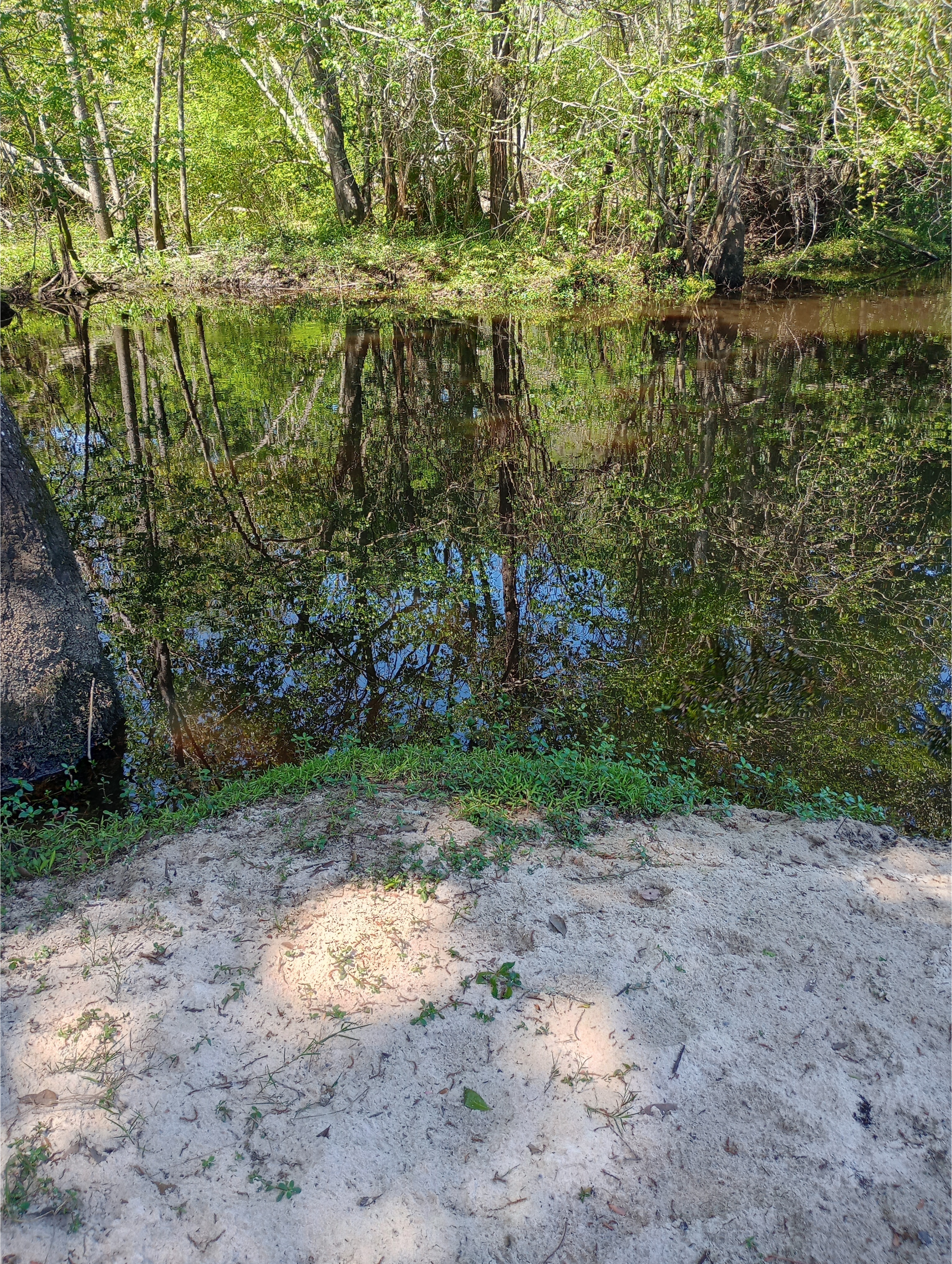 GA 125, Tifton, GA other, New River of Withlacoochee @ GA 125 2025-03-04, 2025:04:02 12:51:16, 31.3605251, -83.4274521