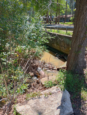 [Left turn, New River of Withlacoochee @ 18th Street 2025-04-02, 2025:04:02 12:13:05, 31.4716186, -83.5176926]