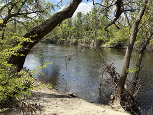 [Holly Point other, Withlacoochee River @ NE Withla Bluffs Way 2025-04-03, 2025:04:03 12:23:29, 30.4137444, -83.2068944]