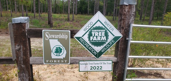 [Georgia Tree Farm of the Year 2022]