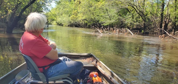 [Deadfall mostly underwater, 11:09:14, 30.8497997, -83.3488770]