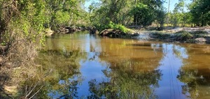 [Downstream Sugar Creek, 09:55:52, 30.8622856, -83.3188072]