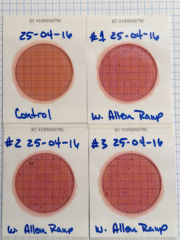 Plates, Allen Ramp 2025-04-16