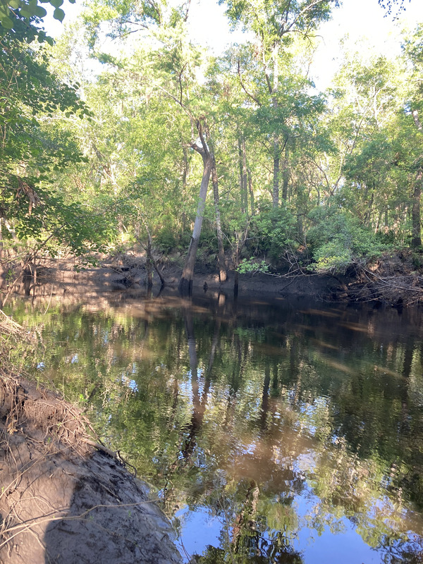 Staten Road other, Withlacoochee River @ Staten Road 2025-04-17, 2025:04:18 09:04:05, 30.9280500, -83.2933500