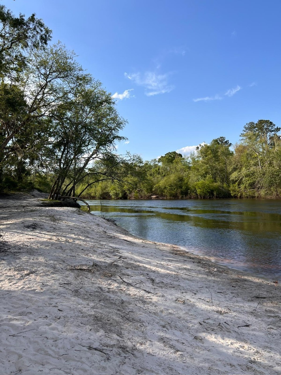 Naylor Park Beach, Alapaha River @ US 84 2025-04-11