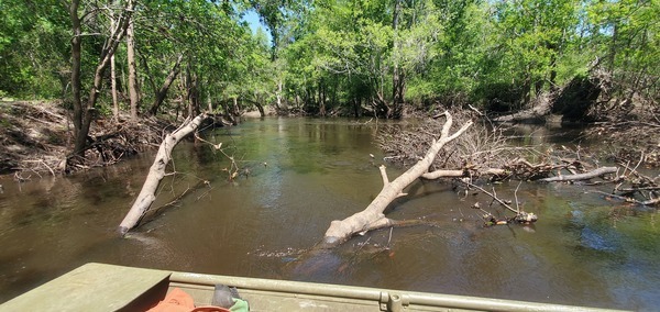 [Deadfalls by the old Crowe Deadfall, 12:10:59, 30.8540079, -83.3375611]