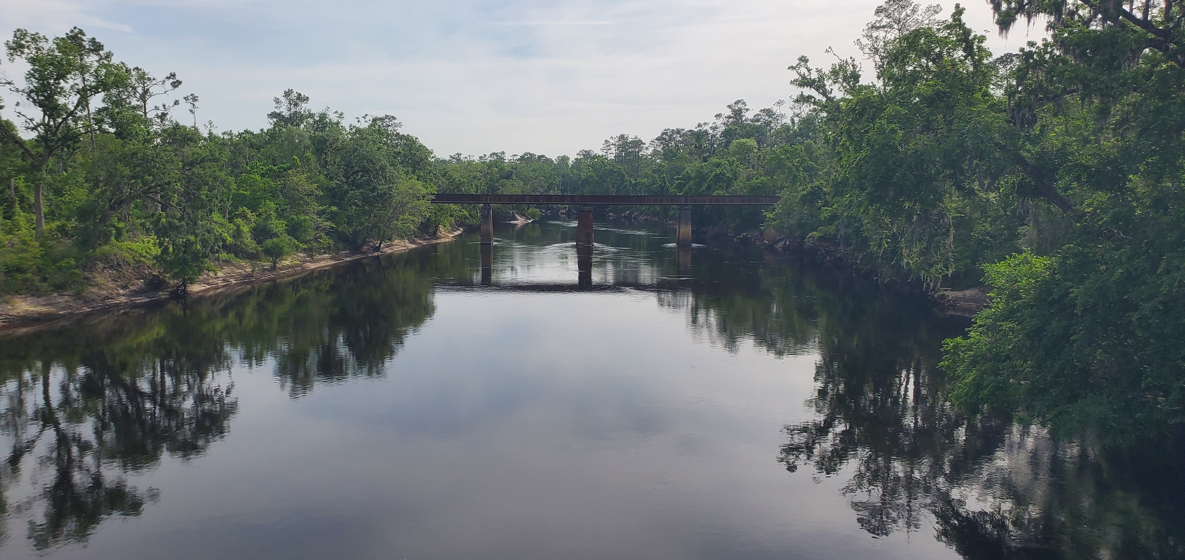Withlacoochee River Confluence, 2025:04:22 10:05:11, 30.3846382, -83.1746565