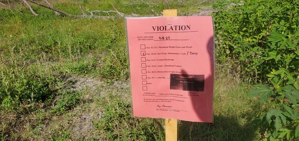 [Tree violation notice, 10:04:31, 30.8431611, -83.3012148]