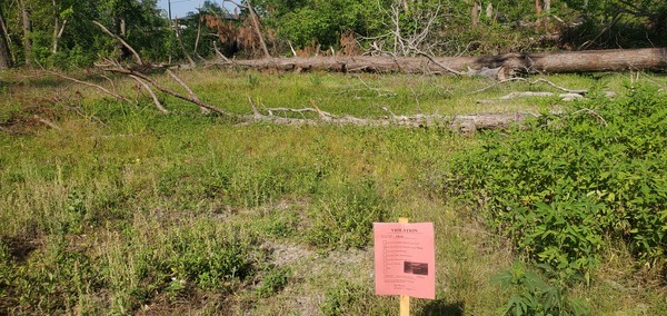 Downed trees and tree violation notice, 10:04:36, 30.8431611, -83.3012148