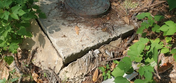 [Cracks by the notoriously leaky old manhole, 10:16:17, 30.8428924, -83.3016049]