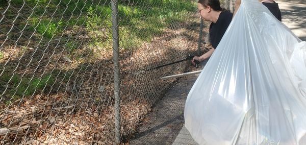 [Sara reaches through the fence, 10:29:10, 30.8429016, -83.3000425]