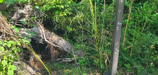 [Maybe something lives here, 10:42:45, 30.8431280, -83.2979938]