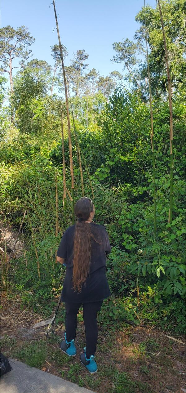 [Bamboo, 10:44:28, 30.8431362, -83.2979285]