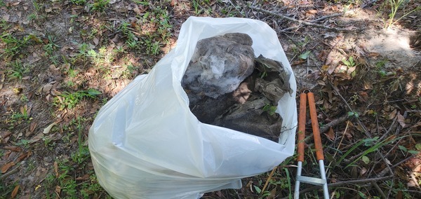 [Old pillow retrieved, with roots and vines growing through it, 11:10:01, 30.8430014, -83.3010162]