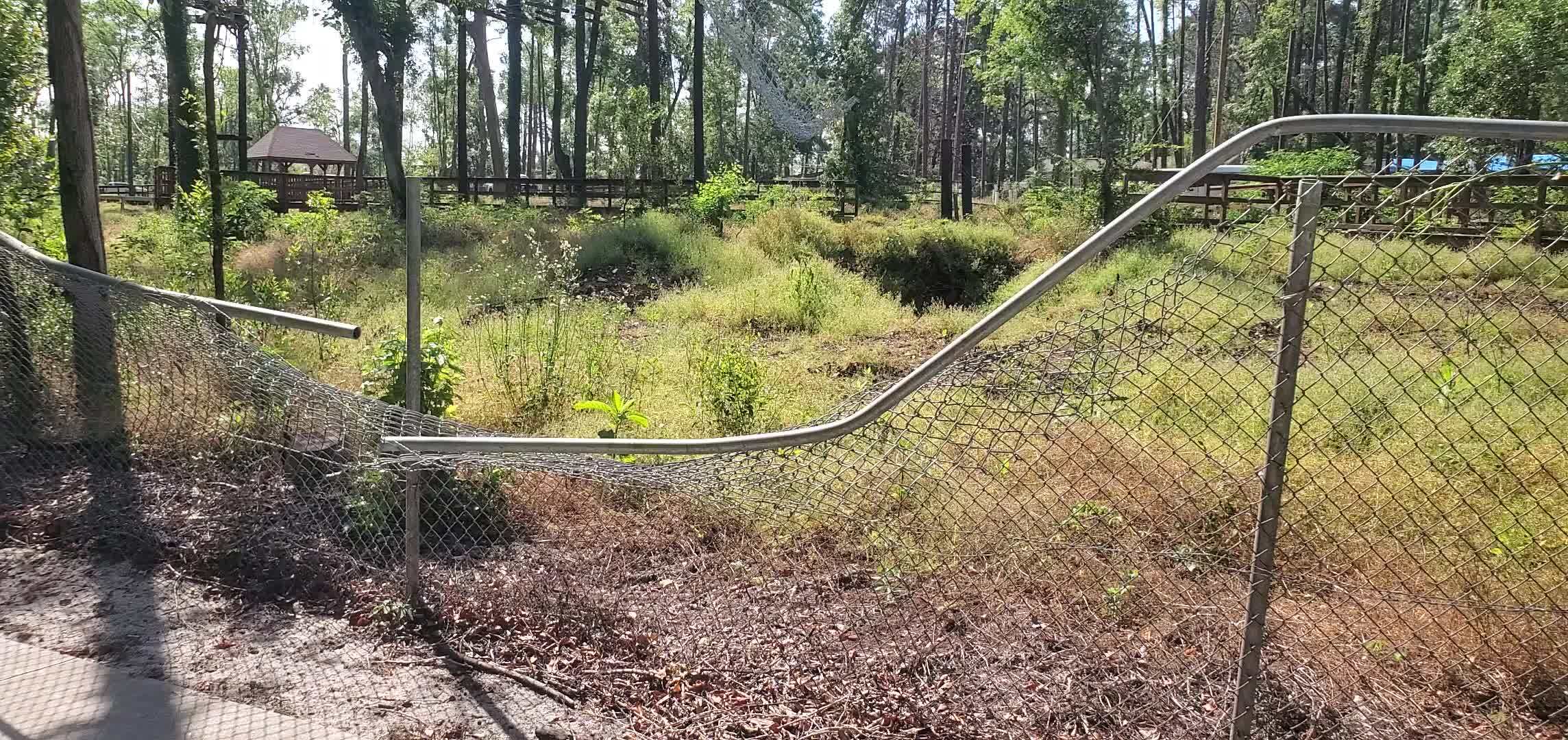 Movie: Old dump site by Azalea City Trail, 10:55:28, 30.8431222, -83.2985194 (35M)